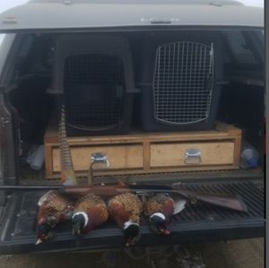 Meet your Posher, Austin